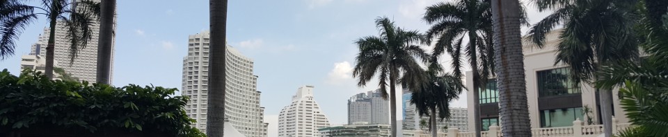 View of Bangkok av Ingemar Pongratz