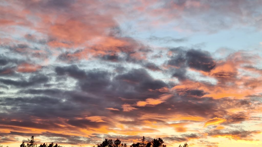 Skies over Sweden Feb 2021 by Ingemar Pongratz